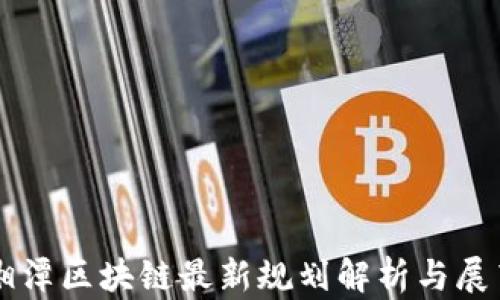 
湘潭区块链最新规划解析与展望