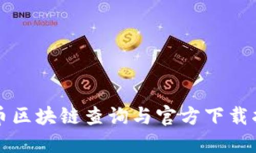提币区块链查询与官方下载指南