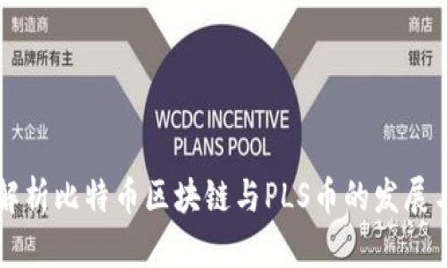 深入解析比特币区块链与PLS币的发展与应用