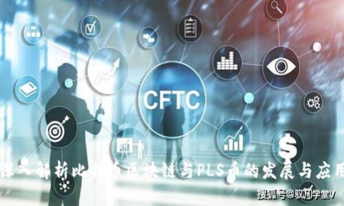 深入解析比特币区块链与PLS币的发展与应用