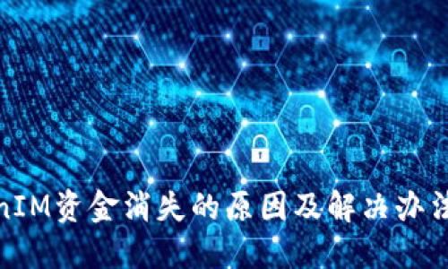 TokenIM资金消失的原因及解决办法探讨