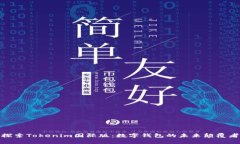 探索Tokenim国际版：数字钱