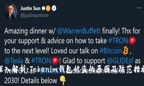 深入解析：Tokenim钱包被盗的原因及防范措施