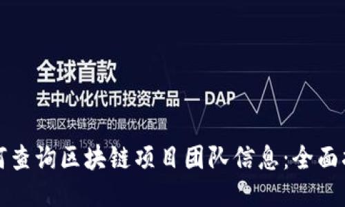 如何查询区块链项目团队信息：全面指南