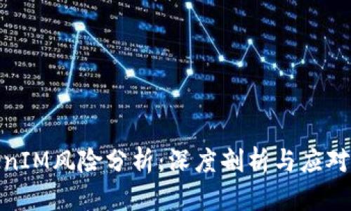TokenIM风险分析：深度剖析与应对策略