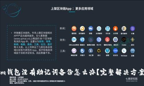 Tokenim钱包没有助记词备份怎么办？完整解决方案与指南