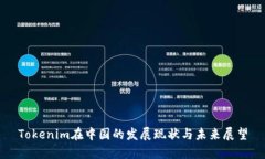 Tokenim在中国的发展现状与