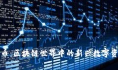 双双字币：区块链世界中的新兴数字资产解析