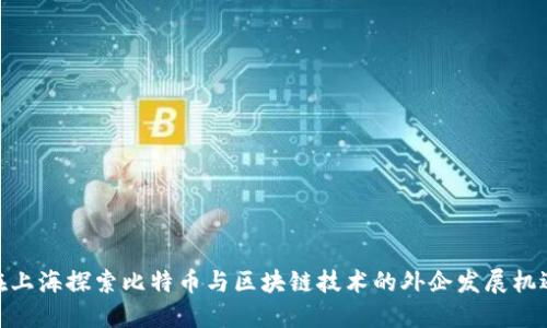 在上海探索比特币与区块链技术的外企发展机遇