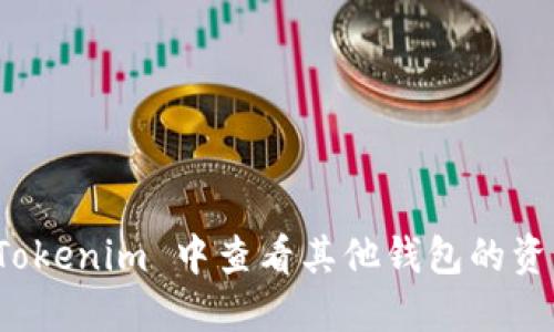 如何在 Tokenim 中查看其他钱包的资产和信息