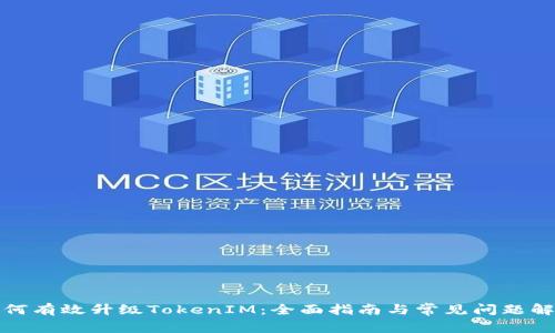 如何有效升级TokenIM：全面指南与常见问题解答