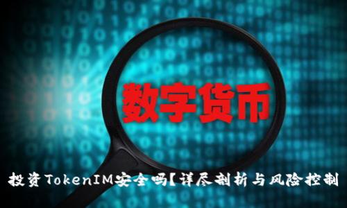 投资TokenIM安全吗？详尽剖析与风险控制