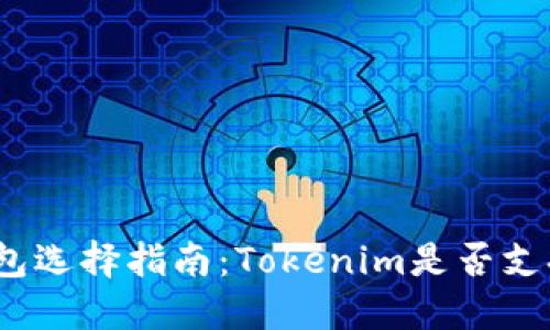 达世币钱包选择指南：Tokenim是否支持达世币？