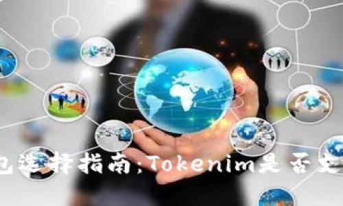 达世币钱包选择指南：Tokenim是否支持达世币？