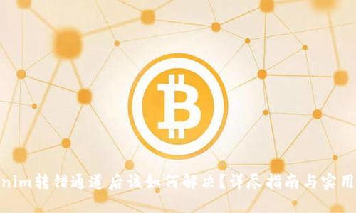 Tokenim转错通道后该如何解决？详尽指南与实用步骤