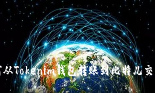 如何从Tokenim钱包转账到比特儿交易所