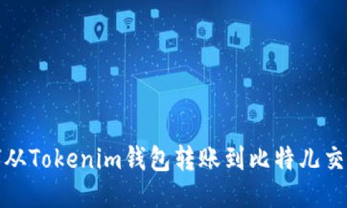 如何从Tokenim钱包转账到比特儿交易所