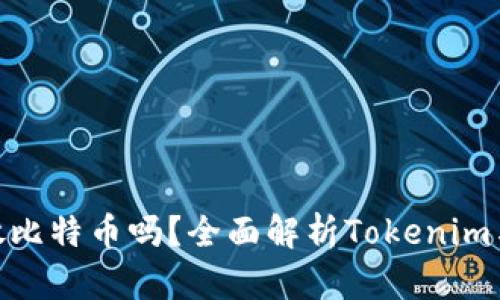 Tokenim能存放比特币吗？全面解析Tokenim与比特币的关系