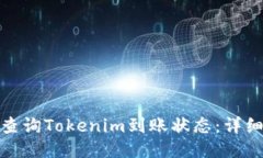 如何查询Tokenim到账状态：