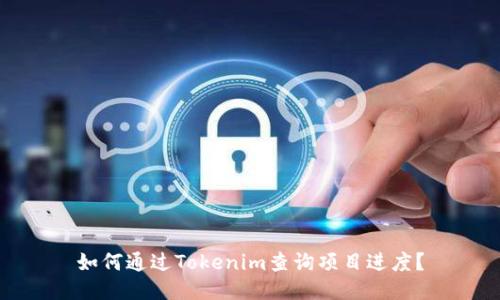如何通过Tokenim查询项目进度？