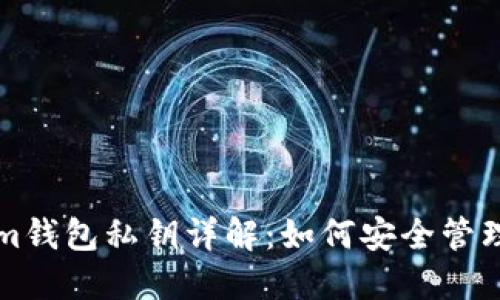Tokenim钱包私钥详解：如何安全管理与使用
