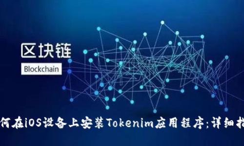 如何在iOS设备上安装Tokenim应用程序：详细指南