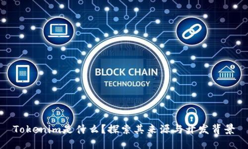 Tokenim是什么？探索其来源与开发背景