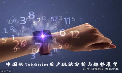 中国的Tokenim用户现状分析与趋势展望