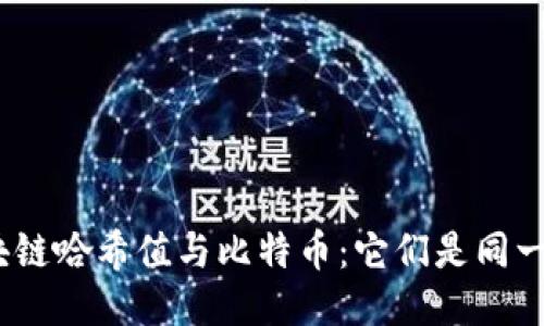 : 区块链哈希值与比特币：它们是同一物吗？