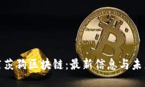 探索莱茨狗区块链：最新信息与未来趋势