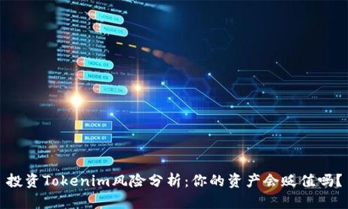 投资Tokenim风险分析：你的资产会贬值吗？