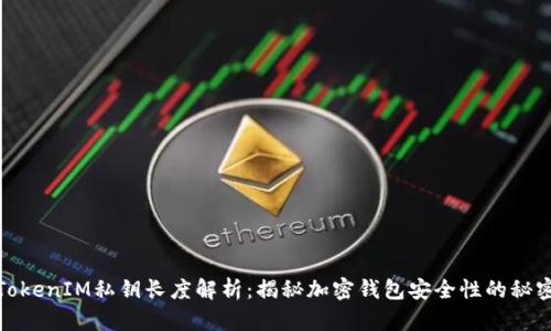 TokenIM私钥长度解析：揭秘加密钱包安全性的秘密