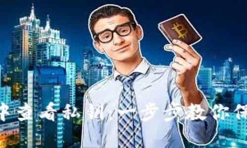 如何在Tokenim钱包中查看私钥：一步步教你保护你的数字资产安全