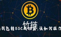 Tokenim钱包转BSC成功后，该