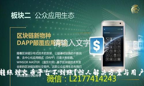 Tokenim转账到火币平台不到账？惊人解决方案与用户经验分享