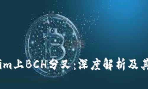 2023年Tokenim上BCH分叉：深度解析及其对市场的影响