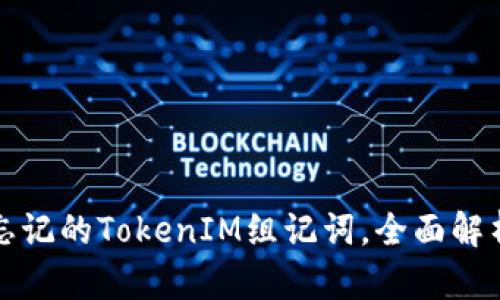 如何找回忘记的TokenIM组记词，全面解析解决方案