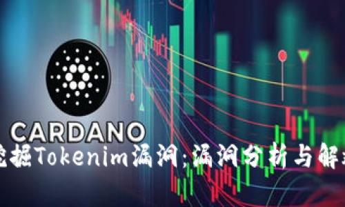 深入挖掘Tokenim漏洞：漏洞分析与解救方案