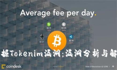 深入挖掘Tokenim漏洞：漏洞分析与解救方案