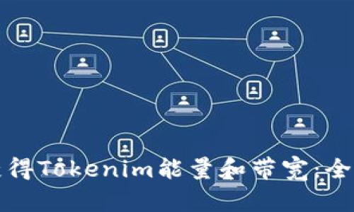 如何获得Tokenim能量和带宽：全面指南