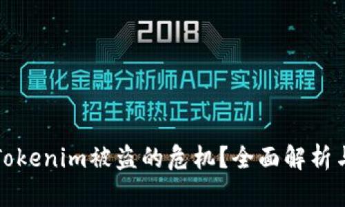 如何应对Tokenim被盗的危机？全面解析与解决方案