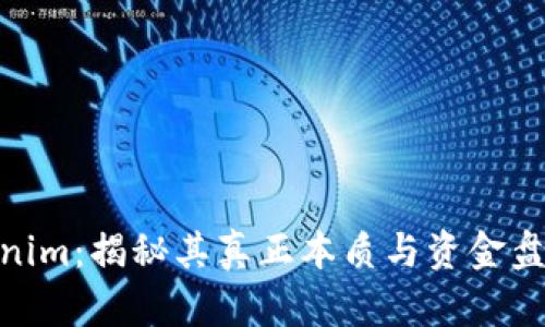 Tokenim：揭秘其真正本质与资金盘风险