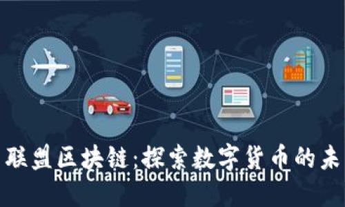 花旗币与联盟区块链：探索数字货币的未来与机遇