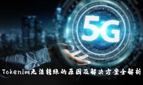 Tokenim无法转账的原因及解决方案全解析