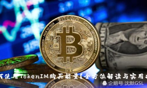 如何使用TokenIM购买能量？全方位解读与实用指南