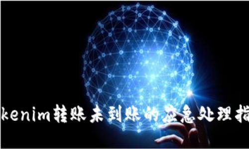 Tokenim转账未到账的应急处理指南