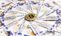 探索区块链的未来：Enig