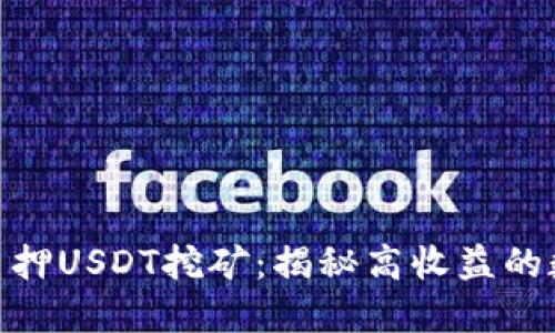 用Tokenim质押USDT挖矿：揭秘高收益的数字资产时代