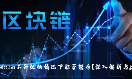 Tokenim不升级的情况下能否转币？深入解析与建议