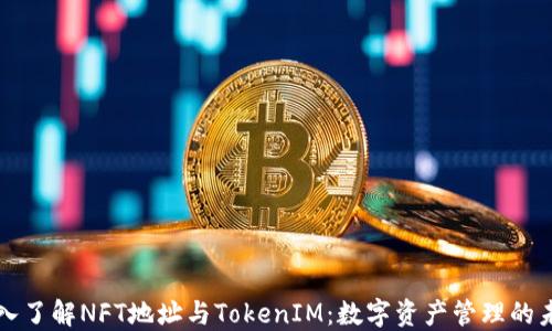 
深入了解NFT地址与TokenIM：数字资产管理的未来